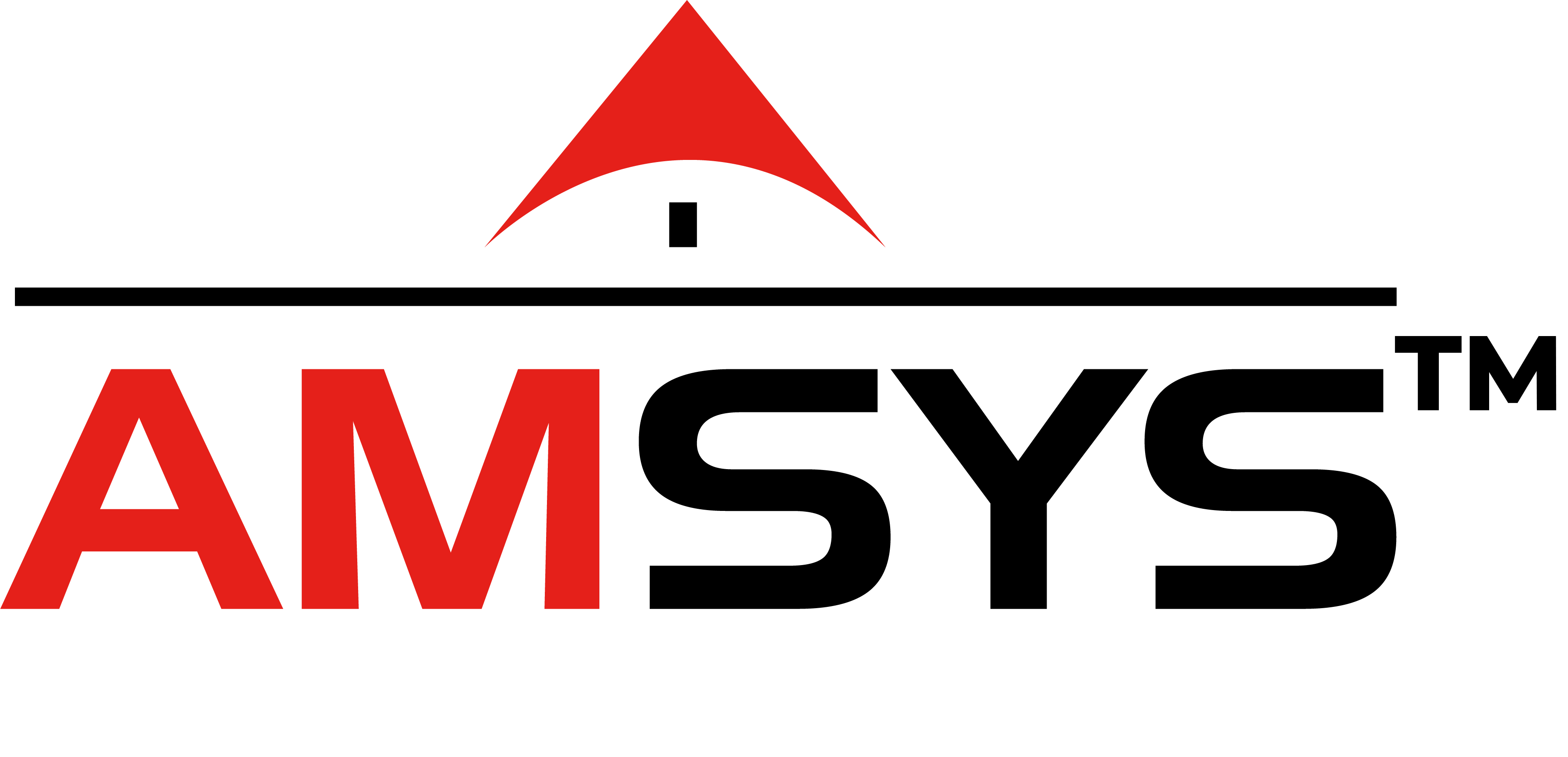 AMSYS ™ Group